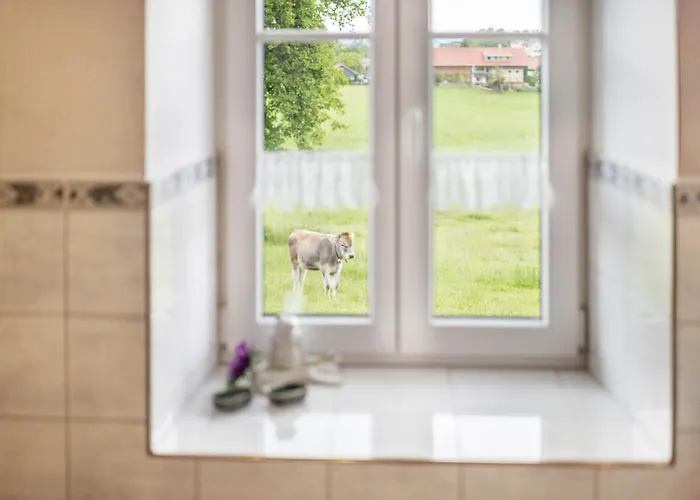 Haus Moritz 公寓 Heimenkirch