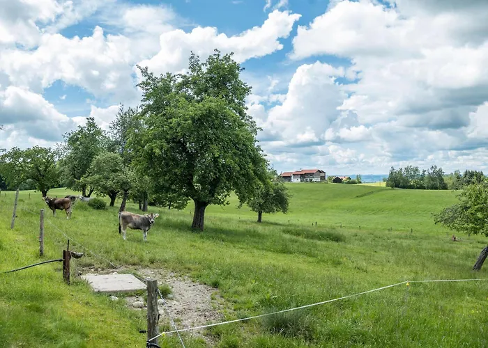 Haus Moritz 公寓 *