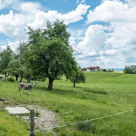 Haus Moritz Διαμέρισμα *